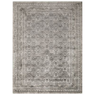 Abacasa Sonoma Galion 53 X 76 Area Rug In Charcoal/multi
