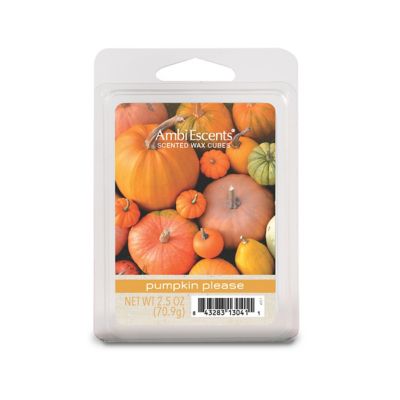 Ambiescents Pumpkin Please Scented Wax Cubes (Pack Of 6) Orange
