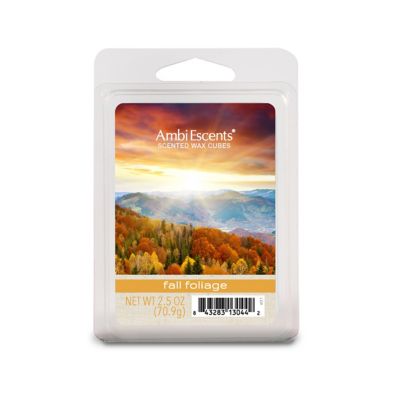 Ambiescents Fall Foliage Scented Wax Cubes (Pack Of 6) Green/multi