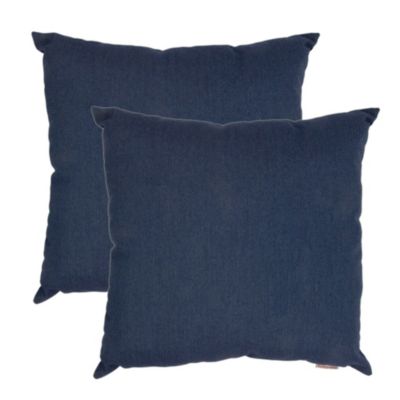 Sunbrella  Spectrum 20 Square Indoor/outdoor Pillows In Indigo (Set Of 2)