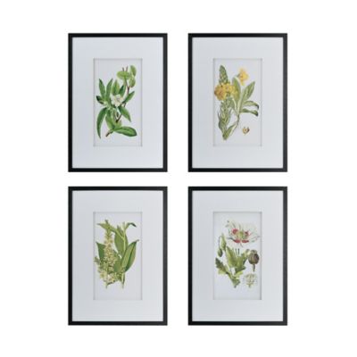 A&B Home Botanical Flower 19.7 X 27.6 Framed Wall Art (Set Of 4) White/black