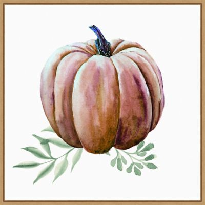 Amanti Art Pumpkin Watercolor 22 X 22 Square Framed Wall Art In Brown White/multi