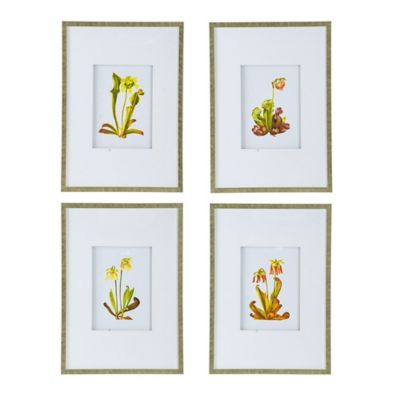 A&B Home 4-Piece 19.7 X 27.6 Botanical Framed Wall Art Set Multi