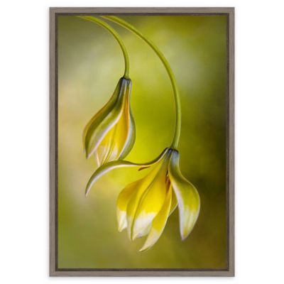 Amanti Art Mandy Disher 1.88 X 23.25 Framed Canvas grey Wash