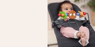baby bjorn toys