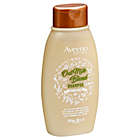Alternate image 0 for Aveeno&reg; 12 fl. oz. Scalp Soothing Oat Milk Blend Shampoo
