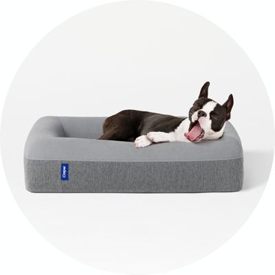 dog beds