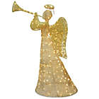 Alternate image 0 for 60-Inch Angel Decoration in Champagne with White LED Lights