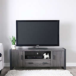Forest Gate™ Zeke 60-Inch TV Stand Console in Charcoal