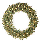 Alternate image 0 for National Tree Company Feel Real&reg; 48-Inch Downswept Douglas Wreath with Warm White LED Lights