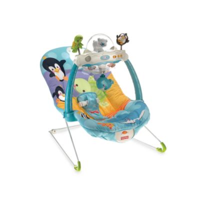 fisher price precious planet bouncer