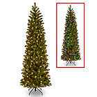Alternate image 0 for National Tree Company 7.5-Foot Downswept Douglas Fir Pencil Slim Christmas Tree w/Dual Color Lights