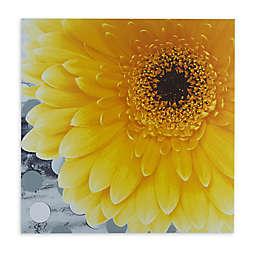 Mi Zone® Vibrant 24-Inch x 24-Inch Canvas Wall Art in Yellow