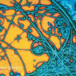 The Strokes "Is This It" Vinyl LP