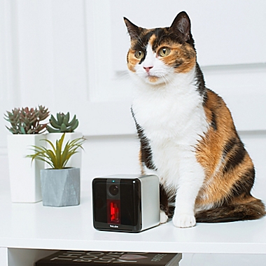 Petcube Interactive Wi-Fi Pet Camera. View a larger version of this product image.