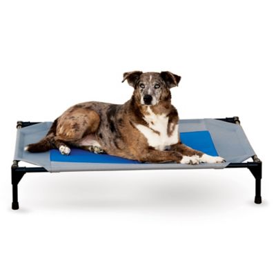 K&H&trade; Coolin&#39; Pet Cot&trade; in Grey/Blue