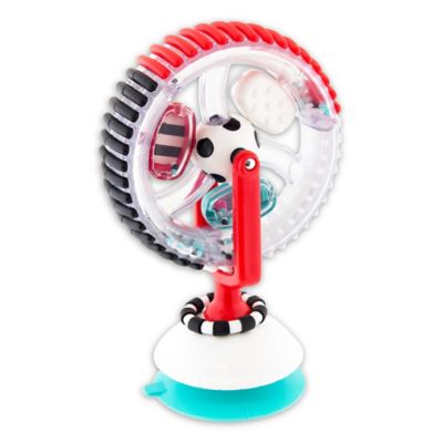 sassy activity center