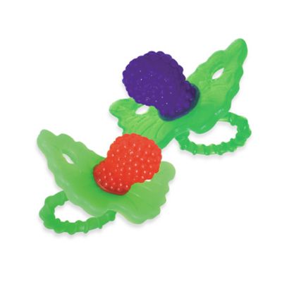 razberry teether target