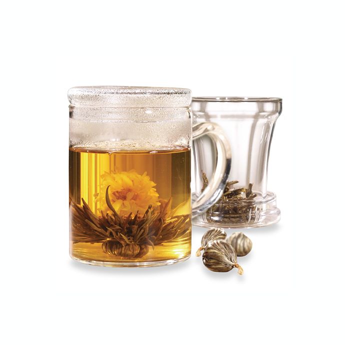 Primula Tea® 12Ounce Tea Maker Bed Bath and Beyond Canada