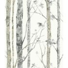 Alternate image 0 for Roommates &quot;Birch Trees&quot; Peel & Stick Wall Décor in White/Brown