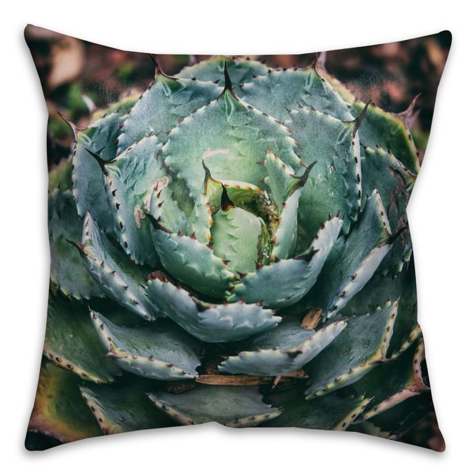 succulent pillow