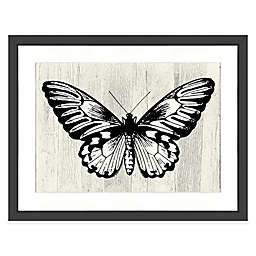 Butterfly 22-Inch x 18-Inch Wall Art in Black/White