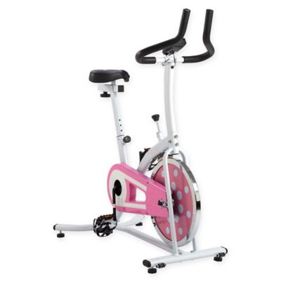 sunny fitness spin bike