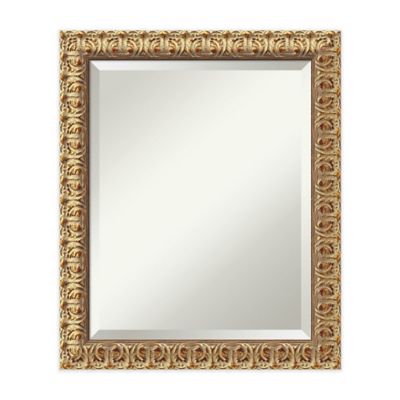 20-Inch x 24-Inch Florentine Mirror in Gold