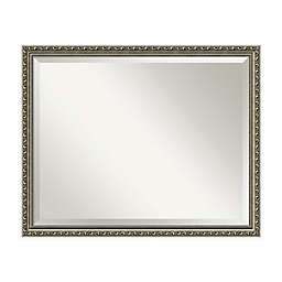 Amanti Art Parisian 30-Inch x 24-Inch Framed Wall Mirror in Nickel/Silver