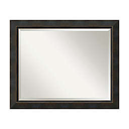 Amanti Art Signore 40-Inch x 28-Inch Framed Wall Mirror in Bronze