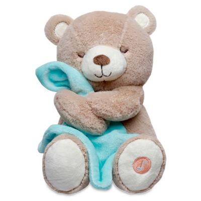 soother teddy bear