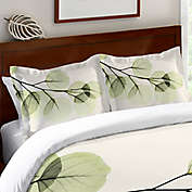 Laural Home&reg; Eucalyptus X-Ray Standard Pillow Sham in Green/Ivory