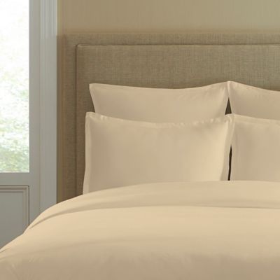 300-Thread-Count Cotton Standard Pillow Sham in Ivory
