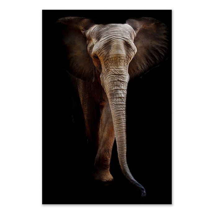 Elephant Wall Art | Bed Bath & Beyond