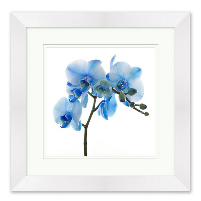 Blue Orchid 1 Framed Botanical Print Wall Art | Bed Bath & Beyond