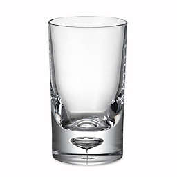 Bubble Bottom Double Old Fashioned Glass in Clear