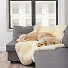 Alternate image 8 for Natural 100%  New Zealand Sheepskin 3-Foot 8-Inch x 6-Foot Area Rug in White