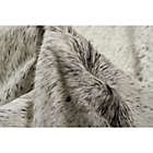 Alternate image 1 for Natural Rugs Kobe Cowhide 6-Foot x7-Foot Area Rug in Light Grey