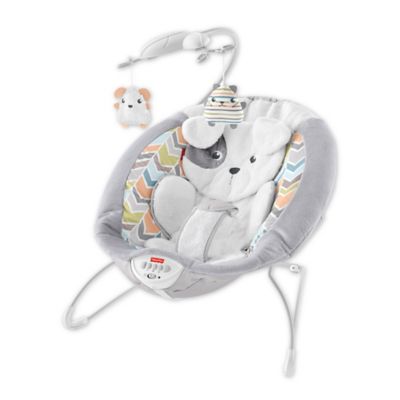 fisher price owl love you deluxe bouncer