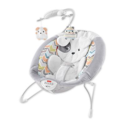 fisher price bear bouncer