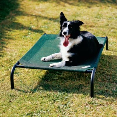 dog cooling mat bed bath and beyond