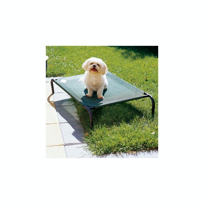 Coolaroo® Steel Frame Pet Bed Bed Bath & Beyond