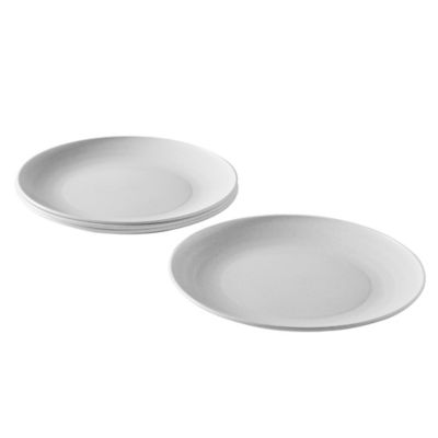 cheap plastic plates that look real