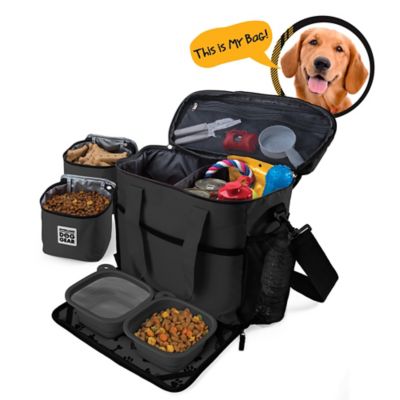 dog luggage