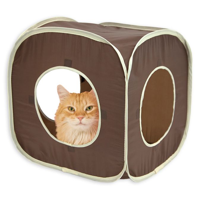 pop up cat cube