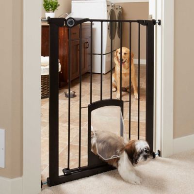 36 inch pet gate