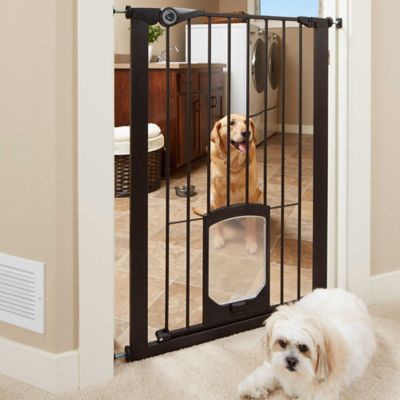 carlson extra tall walk through pet gate with small pet door
