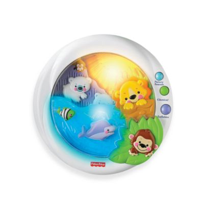 fisher price crib soother