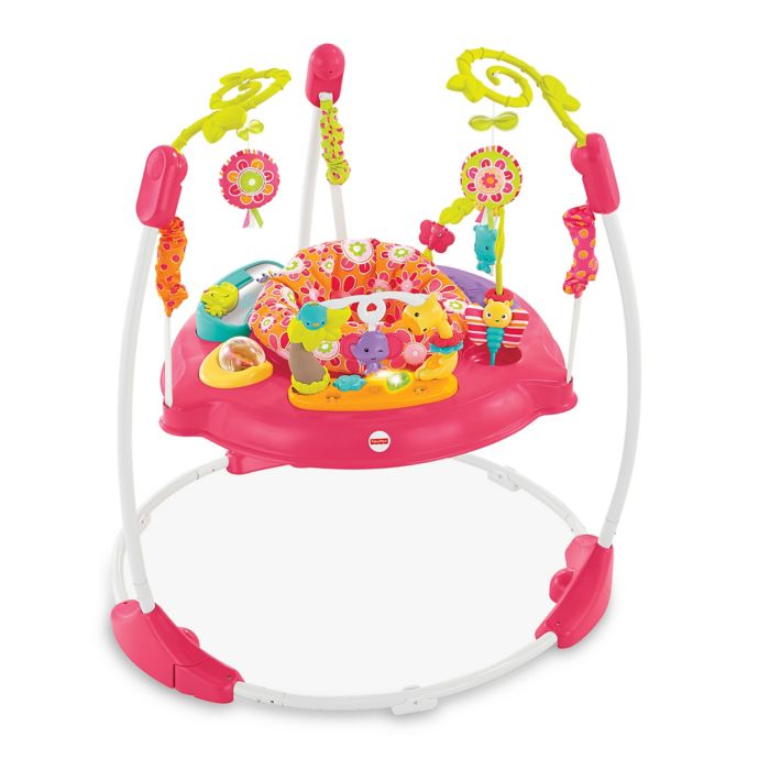 Fisher Price Pink Petals Jumperoo Buybuy Baby