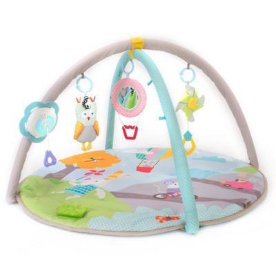 baby gym arch